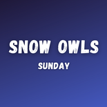 Snow Owls Sunday (Ages 4-5)